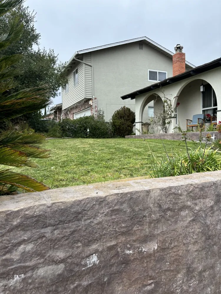 Affordable yard cleanup service in Vallejo, CA - AG Maintenance