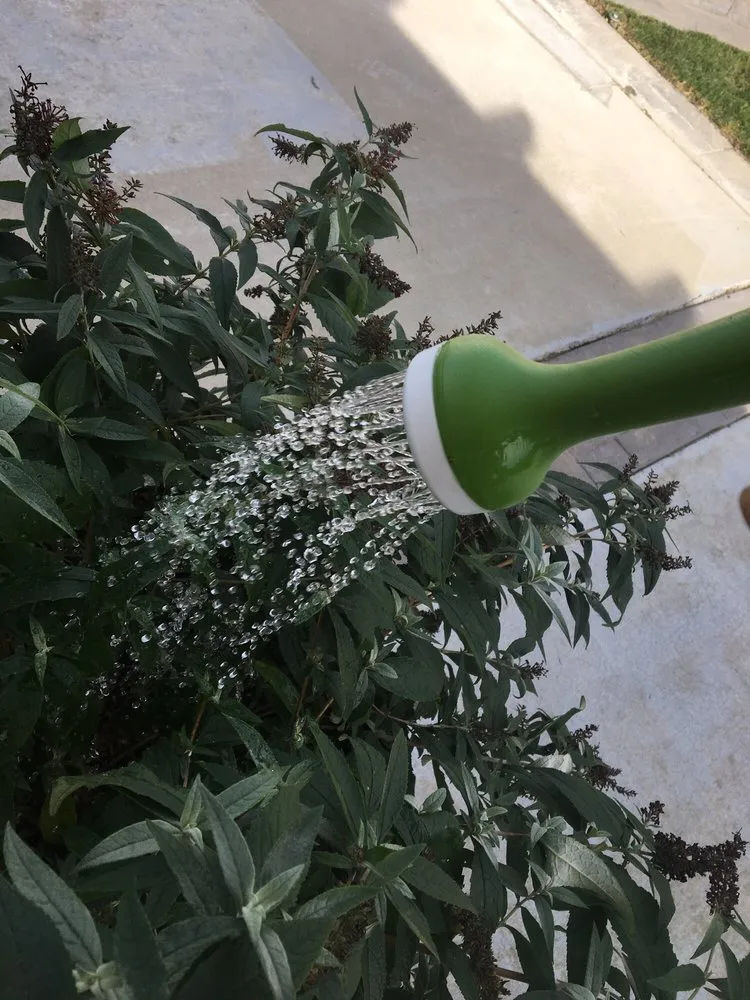 Top-rated lawn care service experts serving Vallejo, CA - AG Maintenance