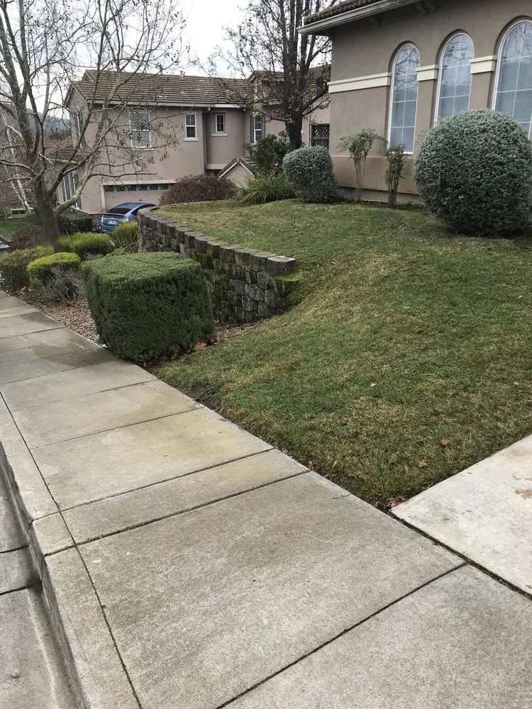 Professional landscaping services in Vallejo, CA by AG Maintenance
