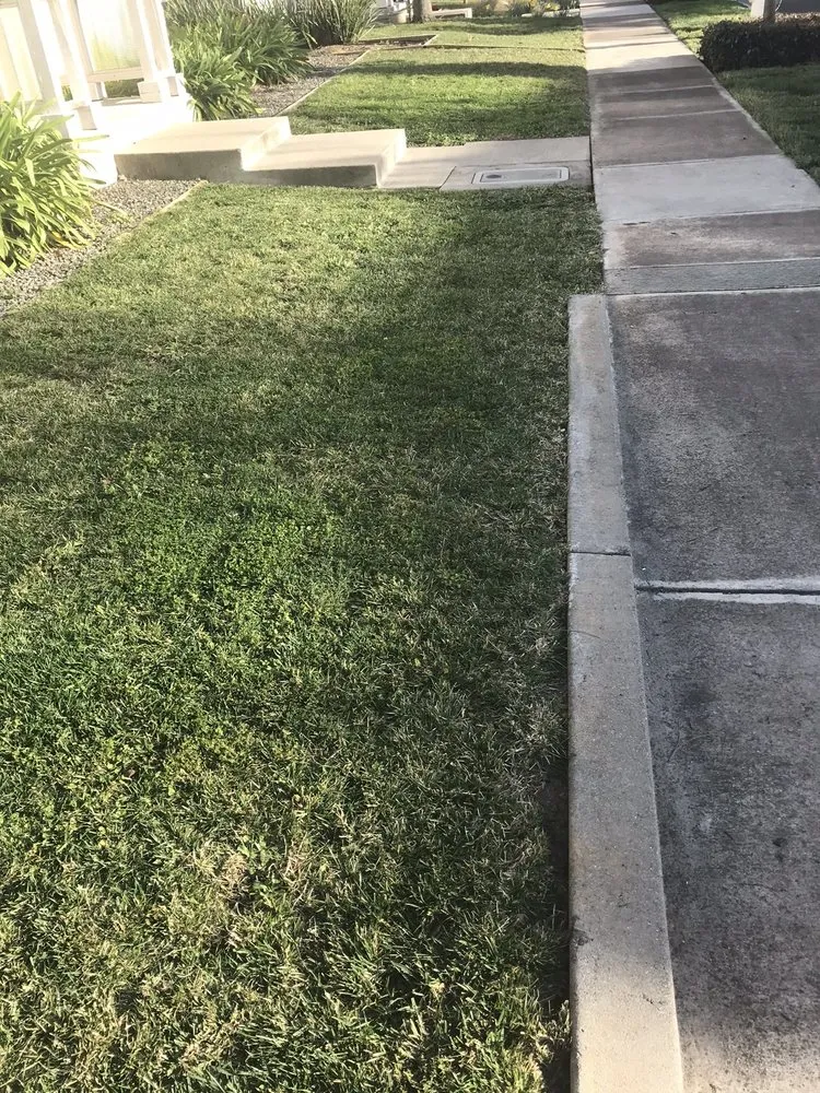 Top-rated landscape design experts serving Vallejo, CA - AG Maintenance