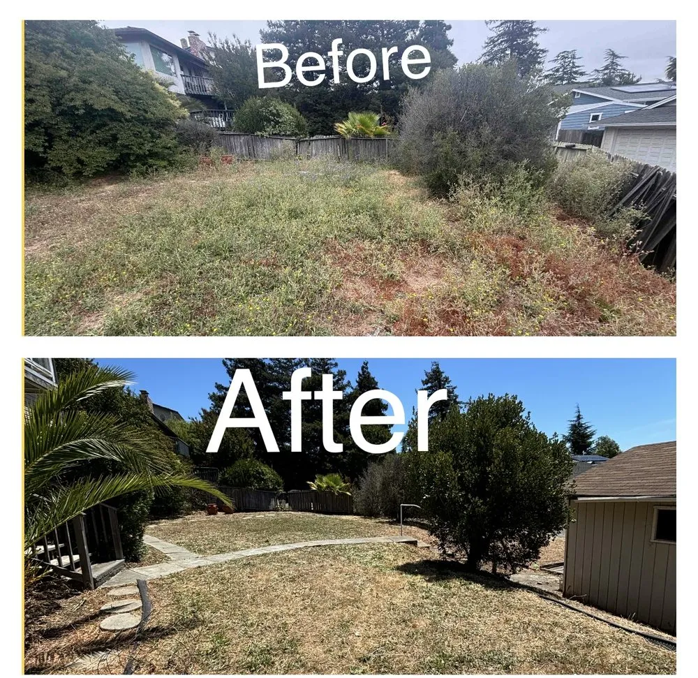 Affordable residential landscaping in Vallejo, CA - AG Maintenance
