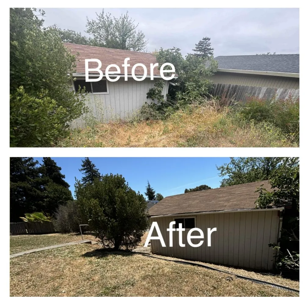 Professional yard cleanup service with custom design across Vallejo, CA - AG Maintenance