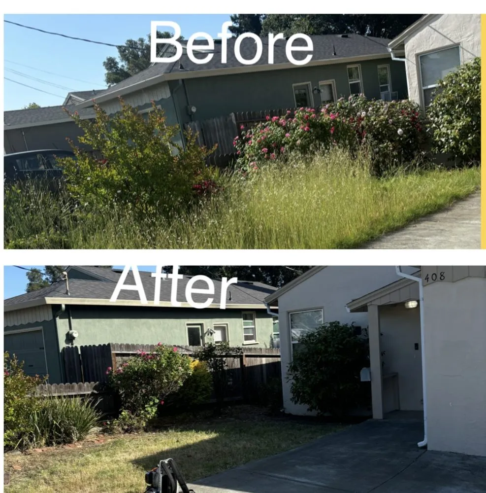 Top-rated lawn care service with custom design in Vallejo, CA by AG Maintenance