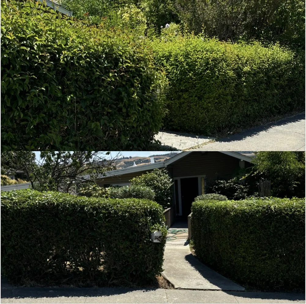Local residential landscaping in Vallejo, CA - AG Maintenance