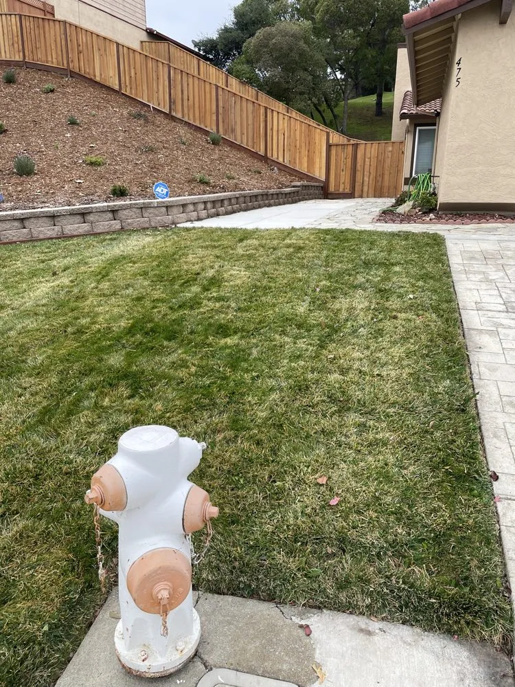 Expert landscaping services for year-round maintenance across Vallejo, CA - AG Maintenance