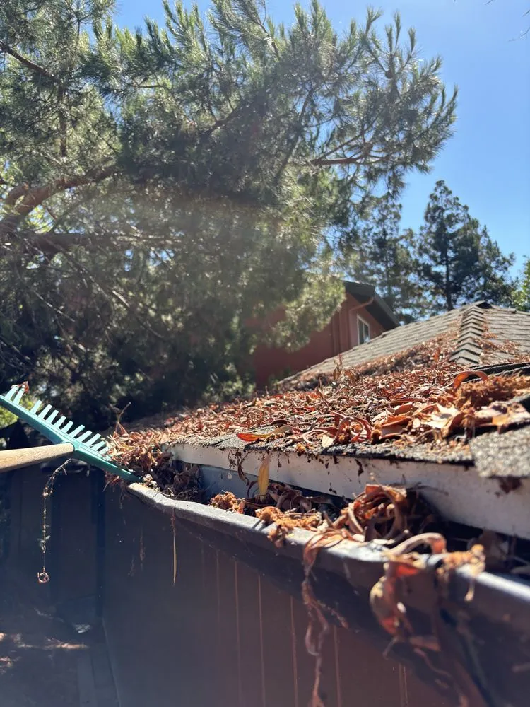 Top-rated lawn mowing service experts serving Vallejo, CA - AG Maintenance