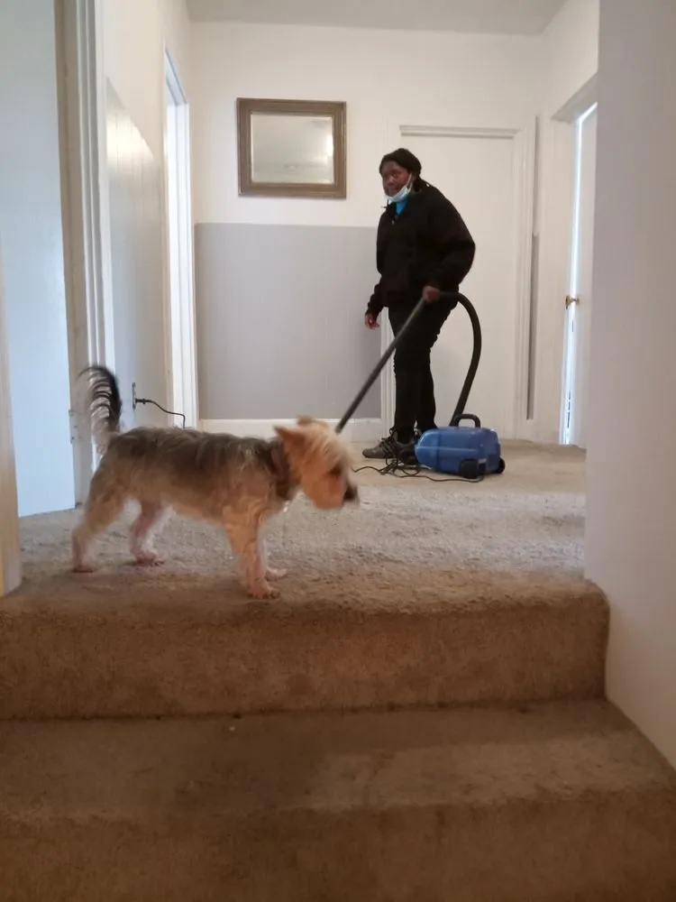 Reliable landscape design in Harrisburg, PA - AG Management