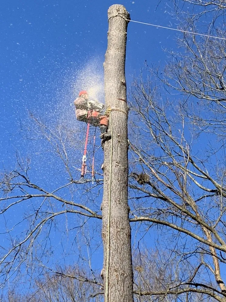 Trusted garden landscaping for beautiful yards in Danbury, CT by AG Masonry & Landscaping