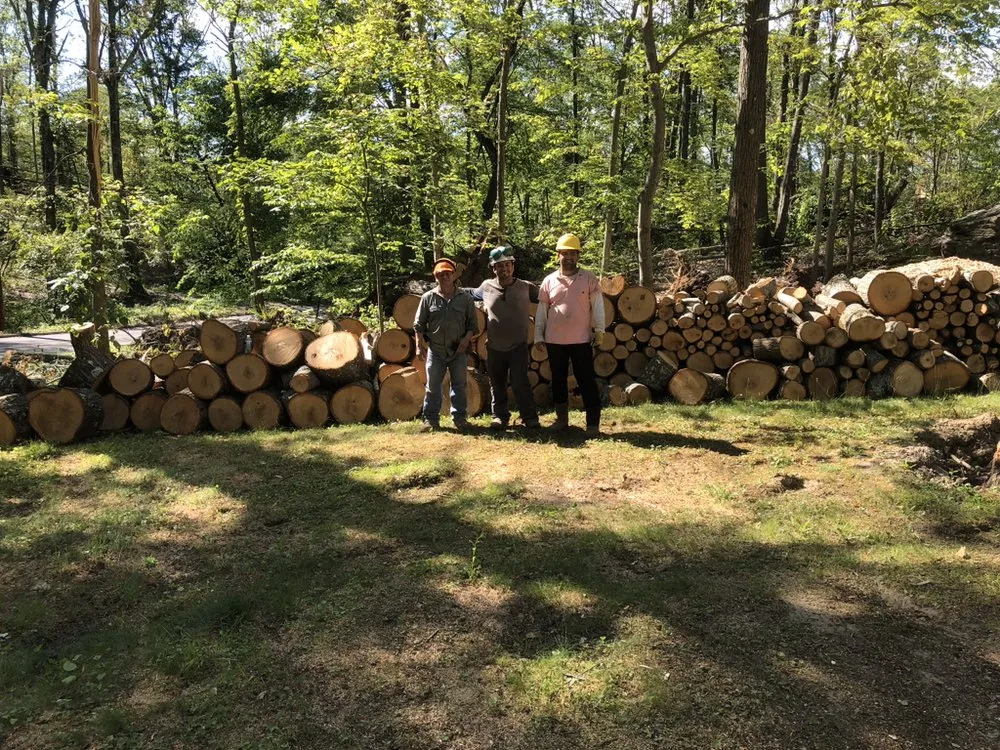 Affordable yard cleanup service in Danbury, CT - AG Masonry & Landscaping