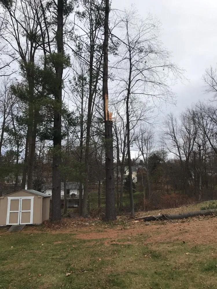 Top-rated residential landscaping in Danbury, CT by AG Masonry & Landscaping