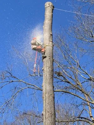 AG Masonry & Landscaping Logo