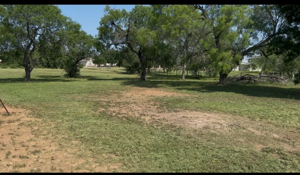 Local yard maintenance in Charlotte, TX - AG Moreno Lawn