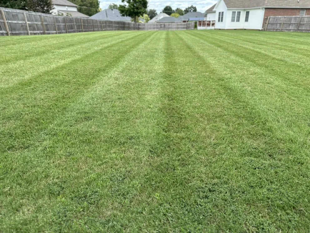 Trusted yard cleanup service experts serving Clarksville, TN - AG Mowing