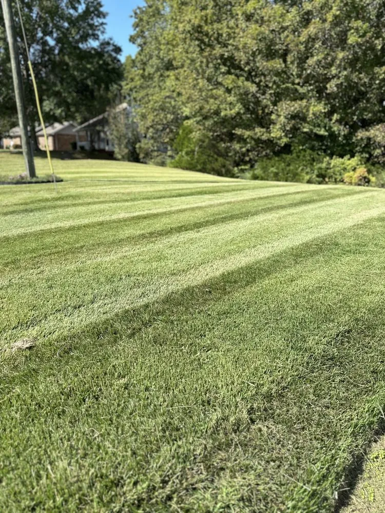 Professional yard cleanup service for residential properties in Clarksville, TN by AG Mowing