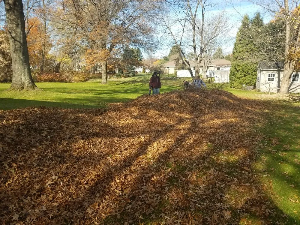 Expert residential landscaping in Erie, PA - A&G Property Maintenance