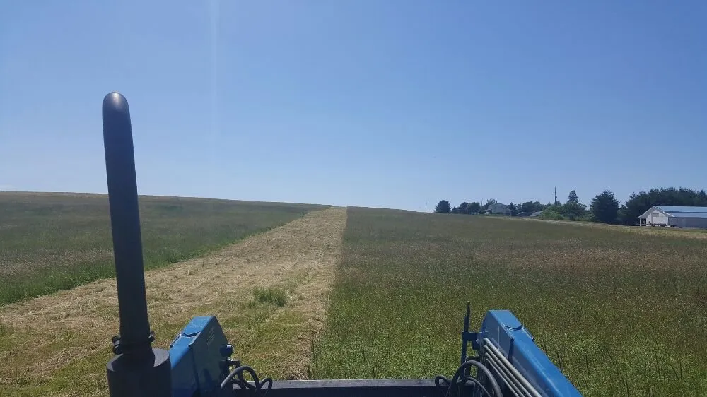 Local landscaping services experts serving Erie, PA - A&G Property Maintenance