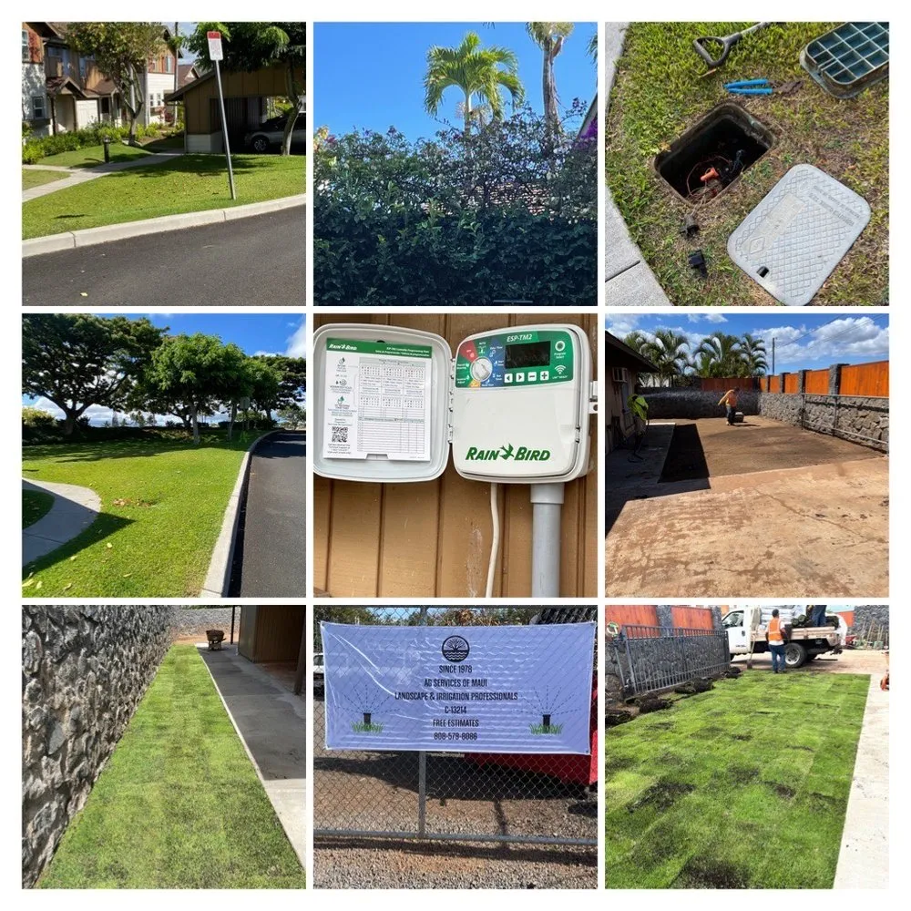Professional outdoor landscaping with custom design in Haiku-Pauwela, HI by Ag Services of Maui