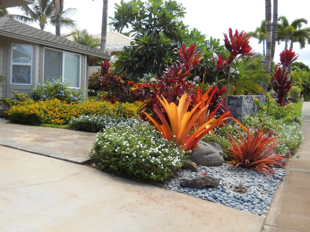 Expert yard maintenance experts serving Haiku-Pauwela, HI - Ag Services of Maui