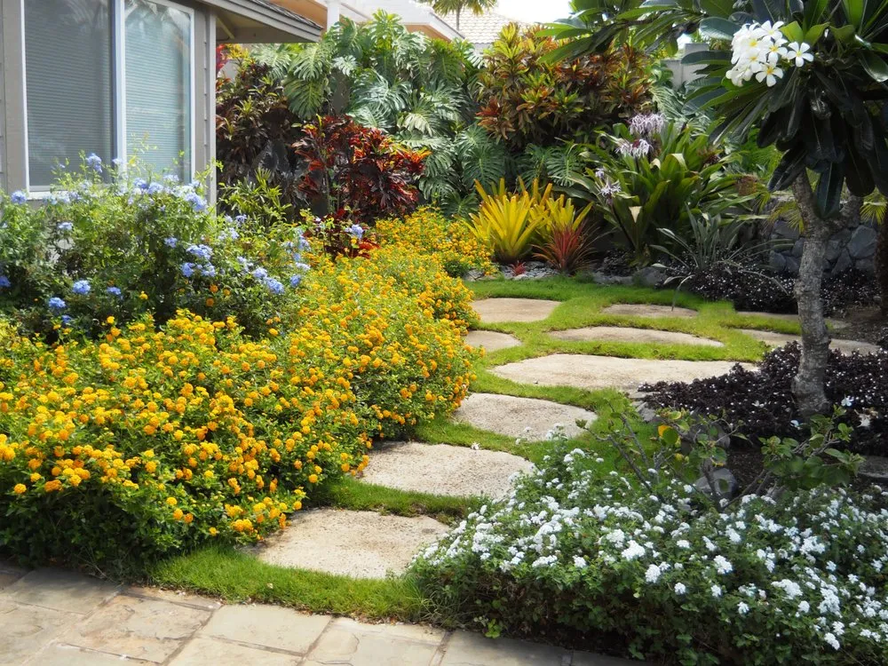 Expert yard cleanup service for homes across Haiku-Pauwela, HI - Ag Services of Maui