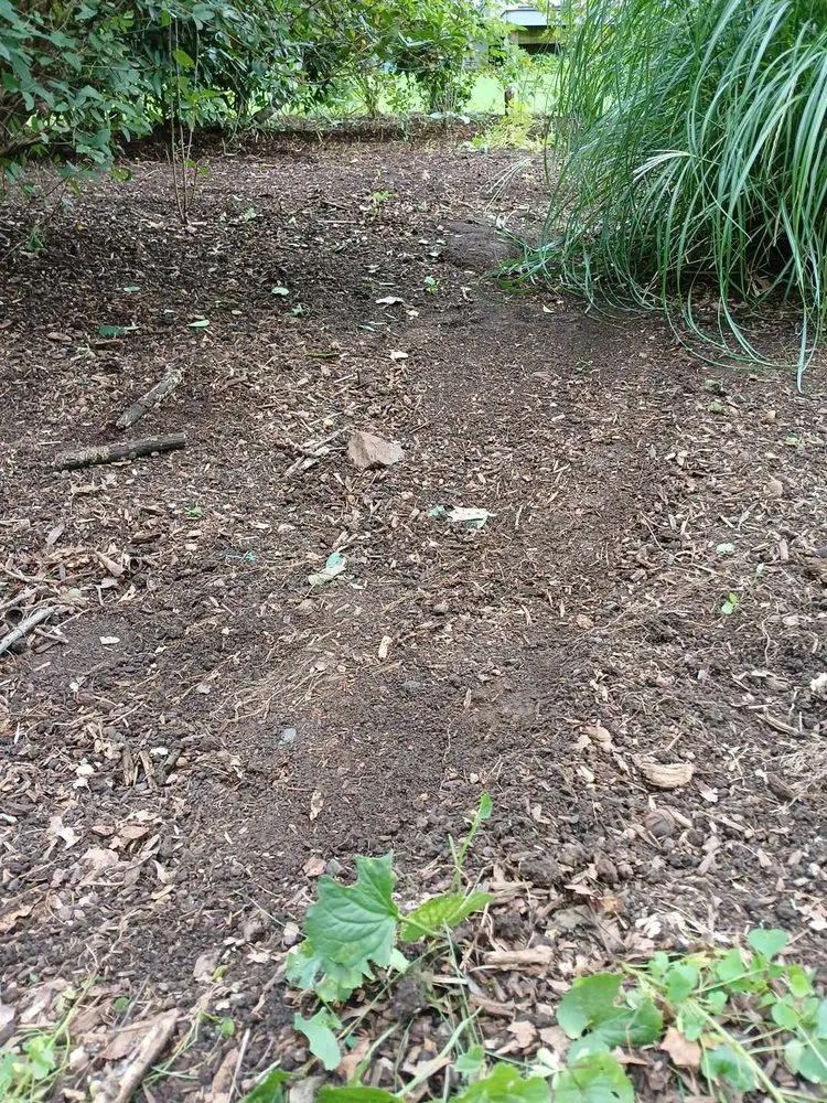 Local landscape design for residential properties in Torrington, CT by AG Siblings Landscaping