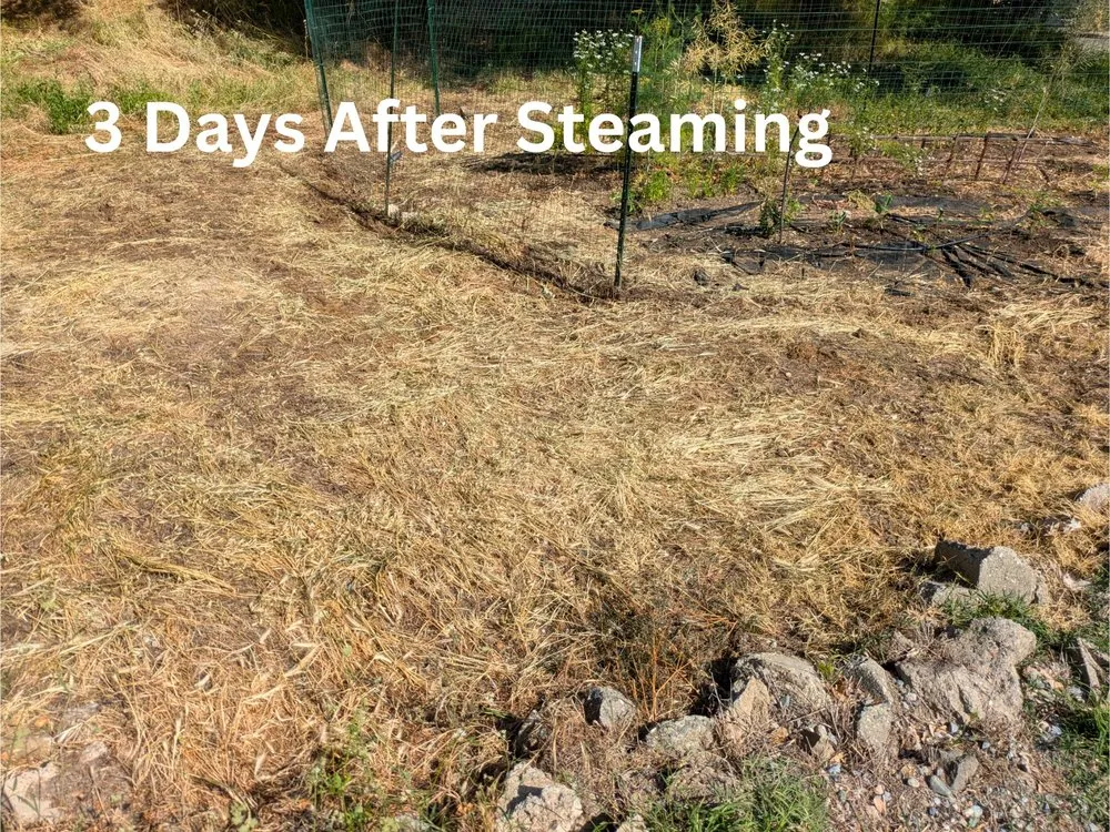 Professional lawn mowing service in Auburn, CA by Ag-Steam
