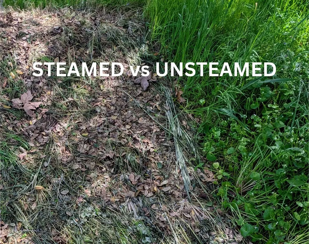 Trusted yard cleanup service for homes in Auburn, CA by Ag-Steam