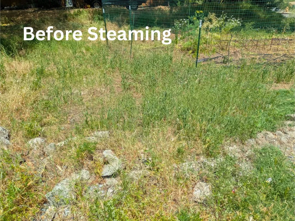 Professional landscape design experts serving Auburn, CA - Ag-Steam