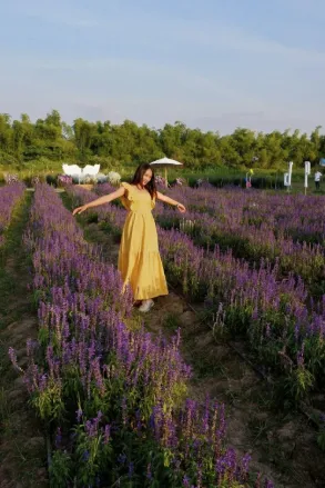 Affordable garden landscaping experts serving Auburn, CA - Ag-Steam