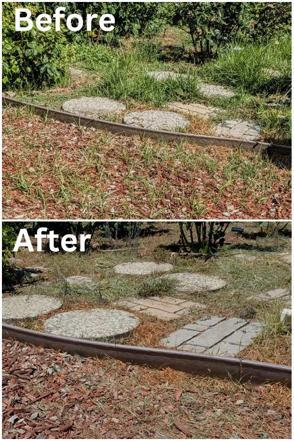 Professional lawn mowing service in Auburn, CA by Ag-Steam