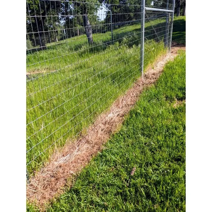 Trusted residential landscaping experts serving Auburn, CA - Ag-Steam