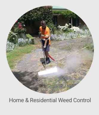 Expert lawn care service in Auburn, CA by Ag-Steam