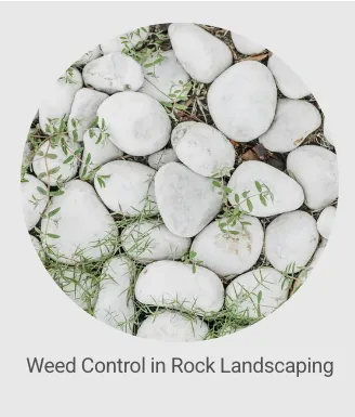 Custom landscape installation in Auburn, CA by Ag-Steam