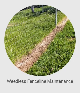 Professional landscape design experts serving Auburn, CA - Ag-Steam