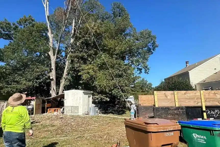 Reliable yard maintenance in Richmond, VA - AG Tree Service & Landscaping