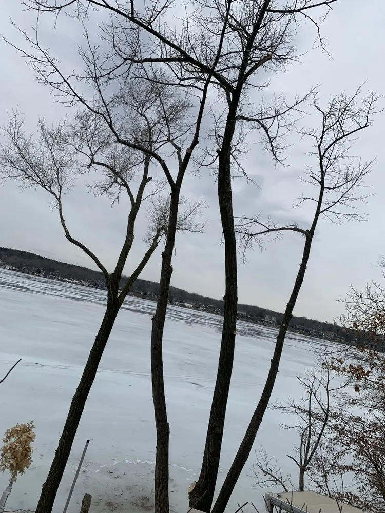 Top-rated outdoor landscaping experts serving Jefferson, WI - A&G Tree Service