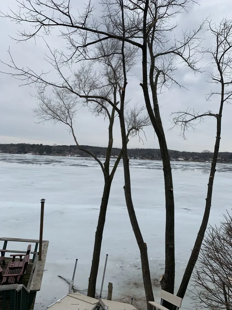 Professional landscape design in Jefferson, WI by A&G Tree Service