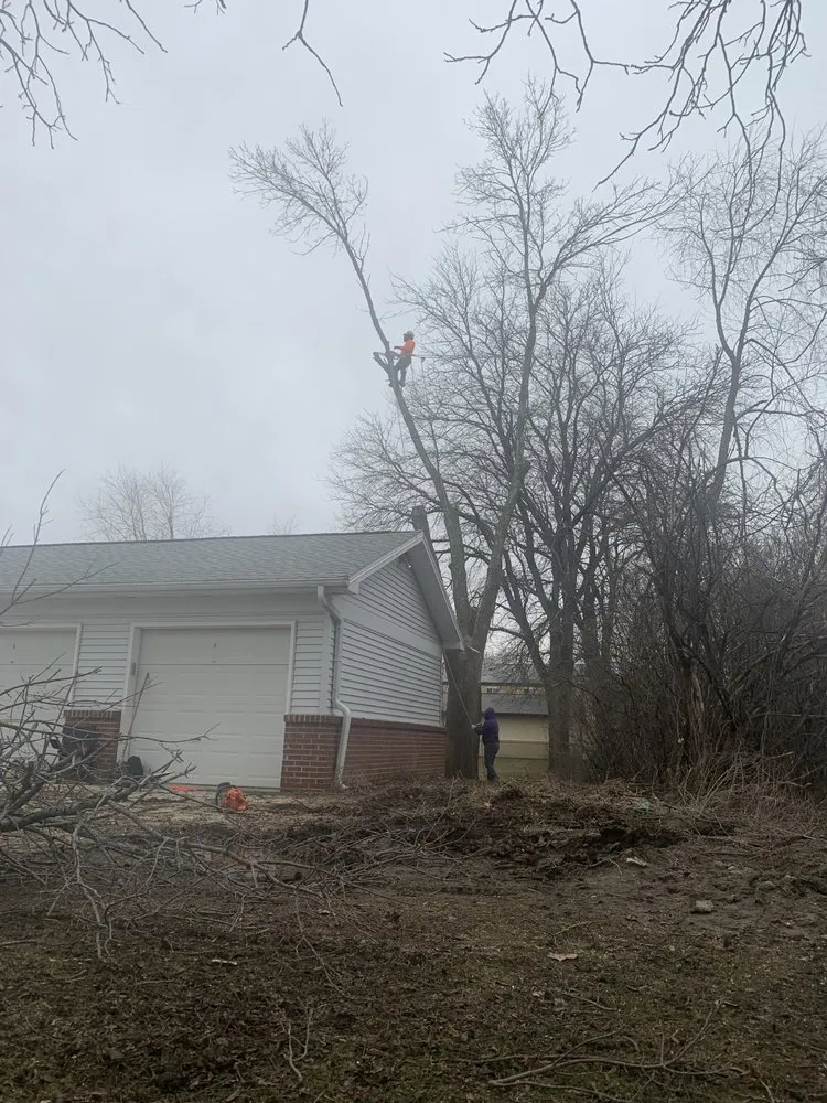 Top-rated landscaping services in Jefferson, WI - A&G Tree Service