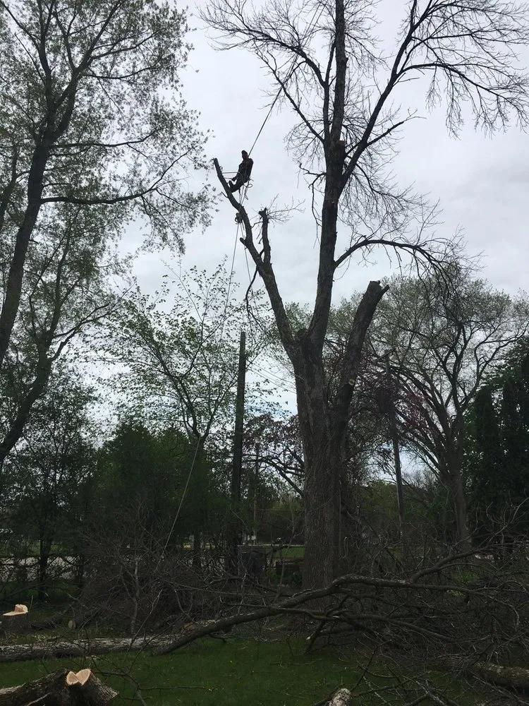 Top-rated residential landscaping experts serving Jefferson, WI - A&G Tree Service