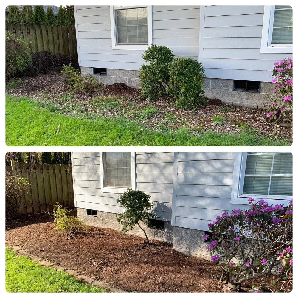 Top-rated landscaping services experts serving Eugene, OR - AG Yard Care