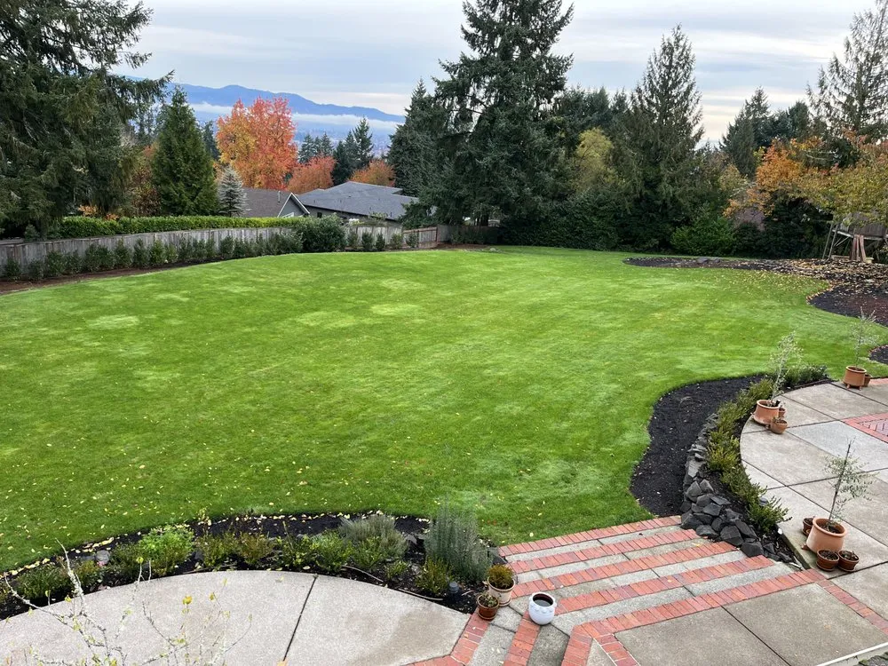 Top-rated yard maintenance in Eugene, OR - AG Yard Care