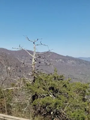 Aga landscape and removal Logo