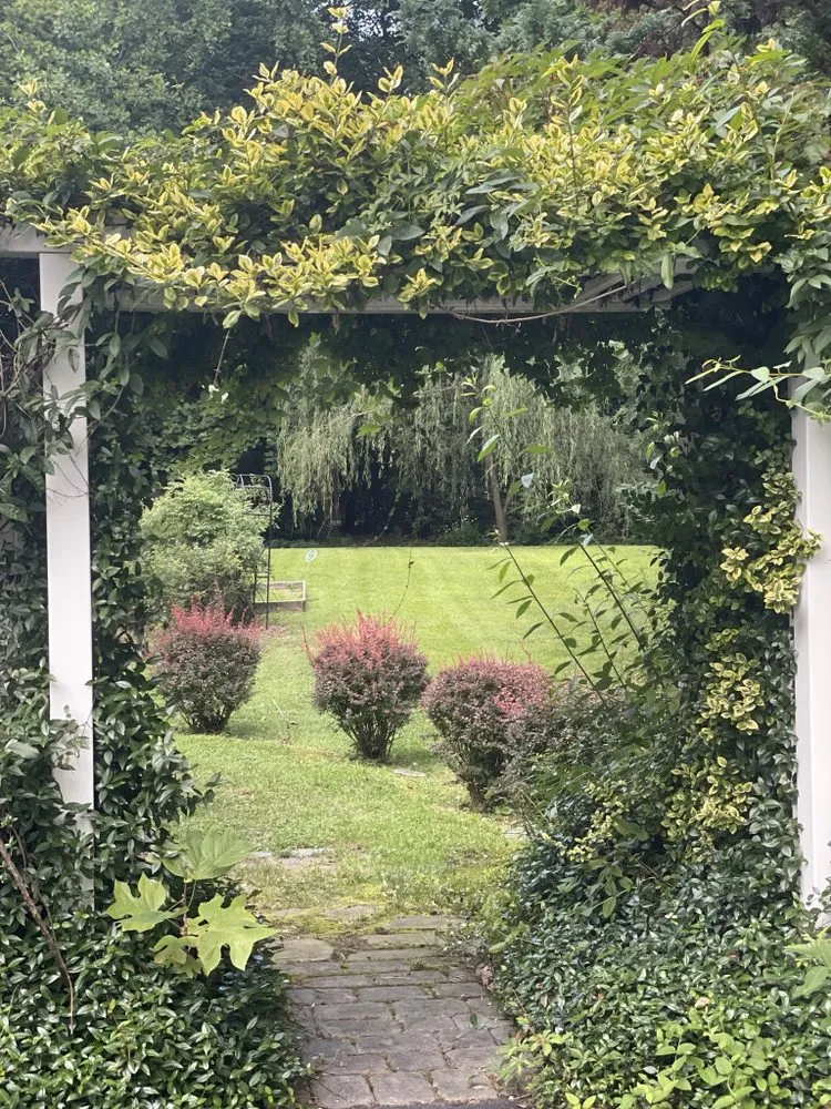 Top-rated yard maintenance for homes in Lewes, DE by Against The Grain Lawn Care