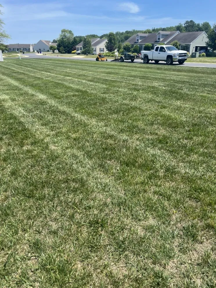 Custom yard cleanup service in Lewes, DE - Against The Grain Lawn Care