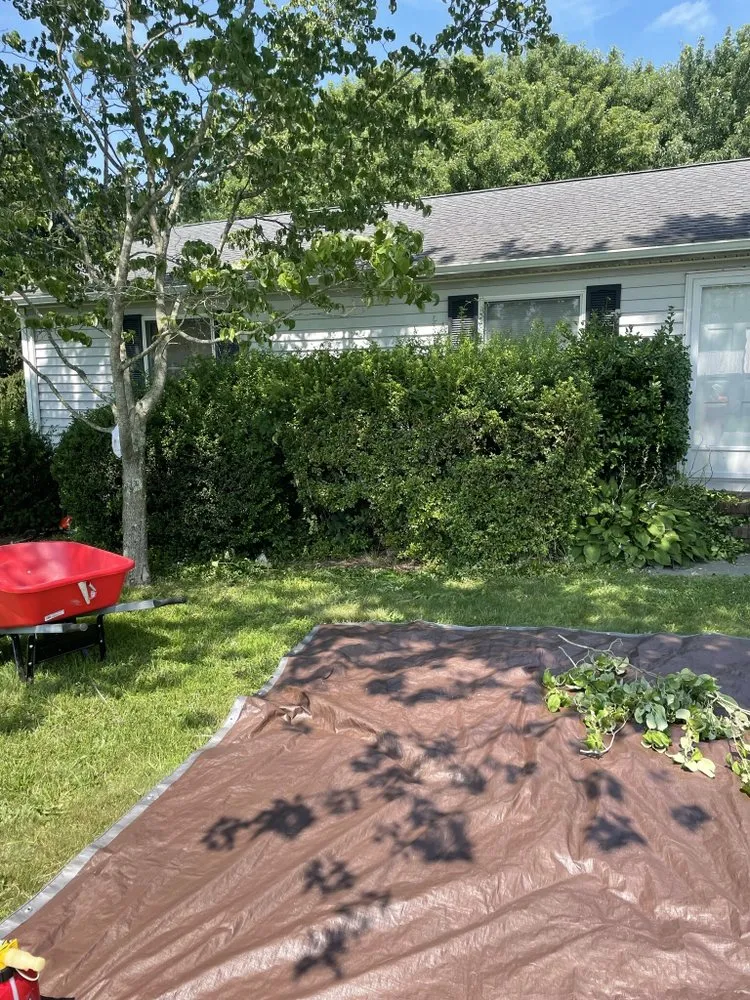 Professional yard maintenance for residential properties across Lewes, DE - Against The Grain Lawn Care