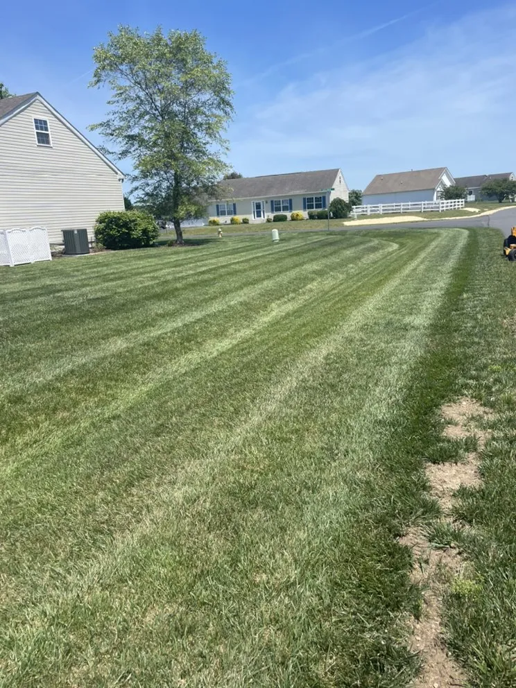 Local garden landscaping for outdoor upgrades in Lewes, DE by Against The Grain Lawn Care