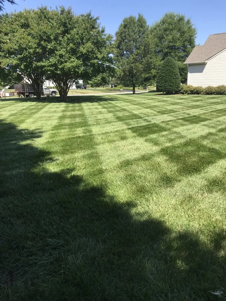 Trusted yard maintenance for residential properties across Lewes, DE - Against The Grain Lawn Care