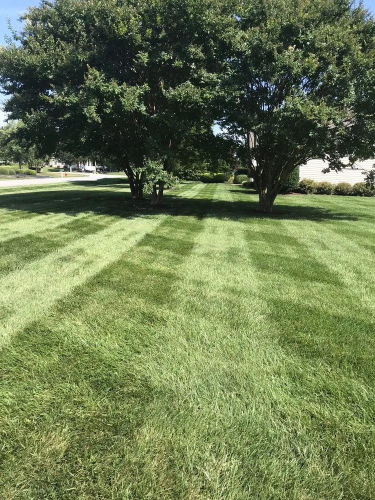 Top-rated yard maintenance in Lewes, DE - Against The Grain Lawn Care