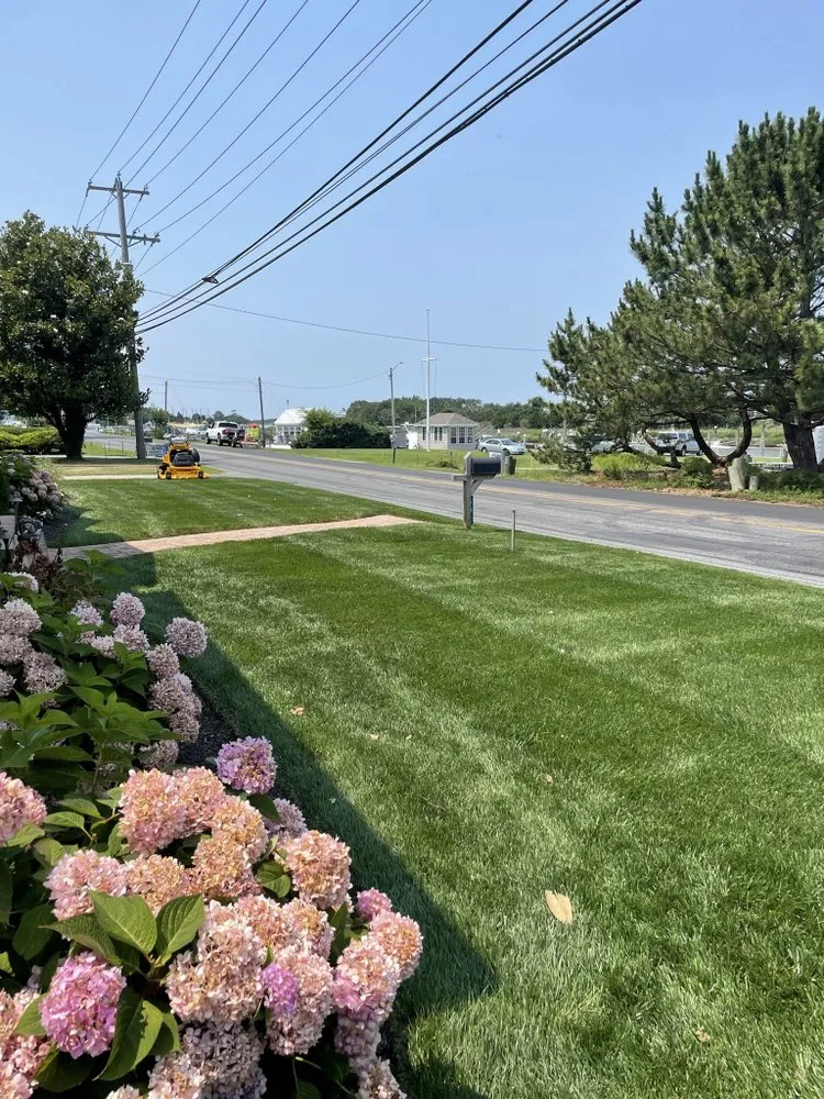 Top-rated residential landscaping for beautiful yards across Lewes, DE - Against The Grain Lawn Care