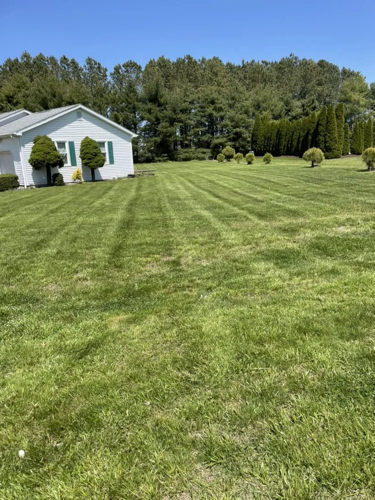 Trusted garden landscaping for outdoor upgrades across Lewes, DE - Against The Grain Lawn Care