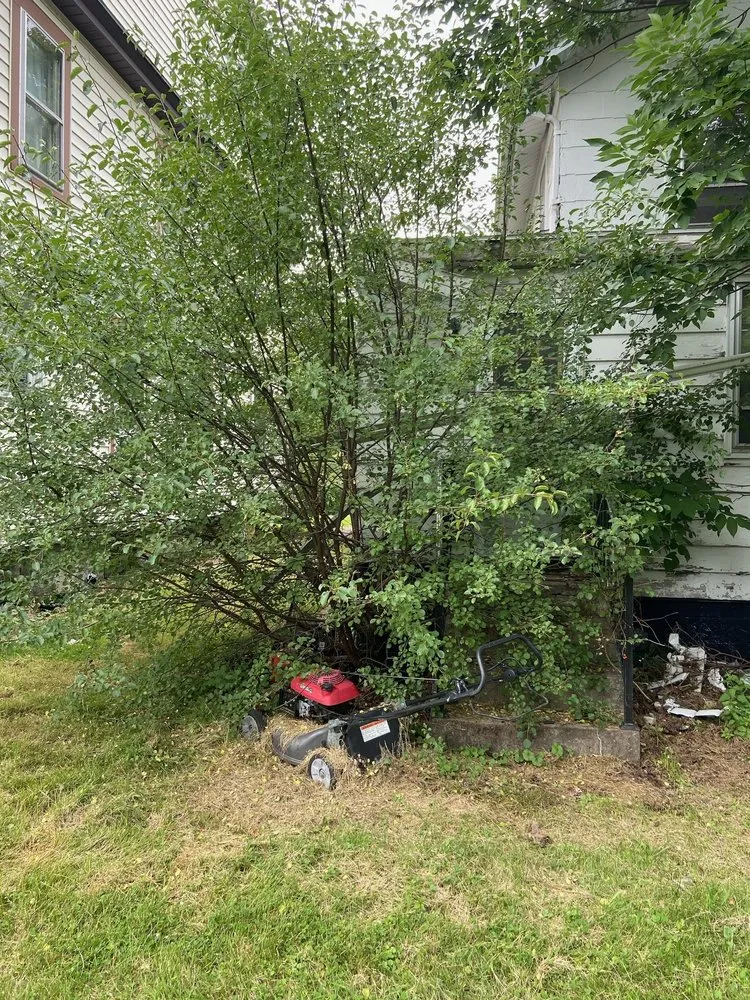 Affordable landscaping services experts serving Parish, NY - Against the Wind Lawn Care